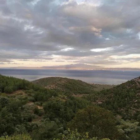 Eden View