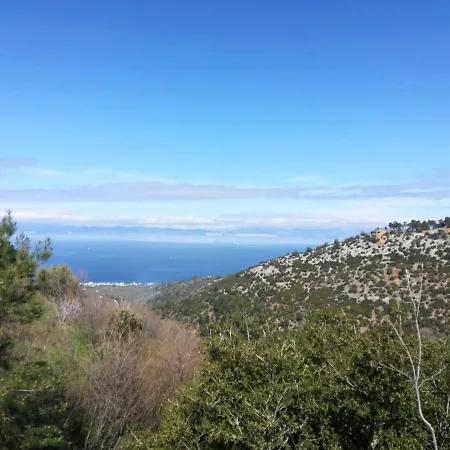 Eden View *