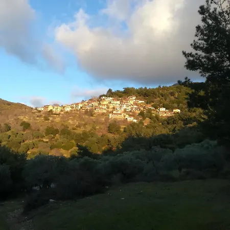 Daire Eden View