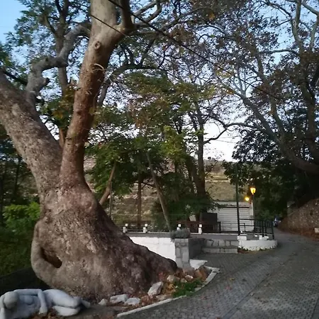 Eden View * Sotir