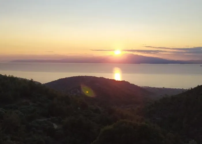 Eden View