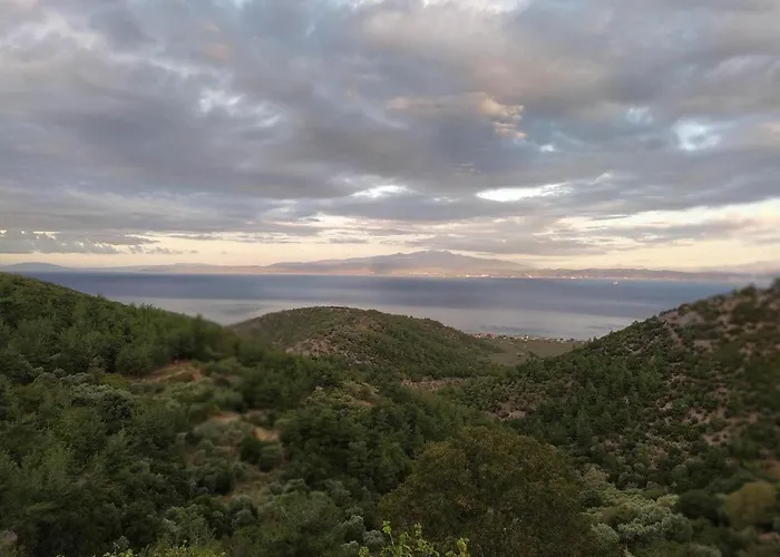 Eden View