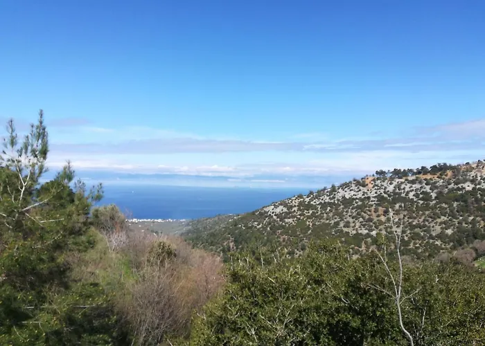 Eden View *